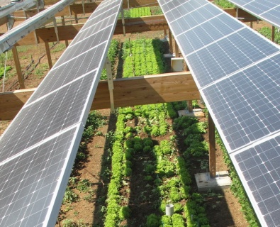 Solar Seralar